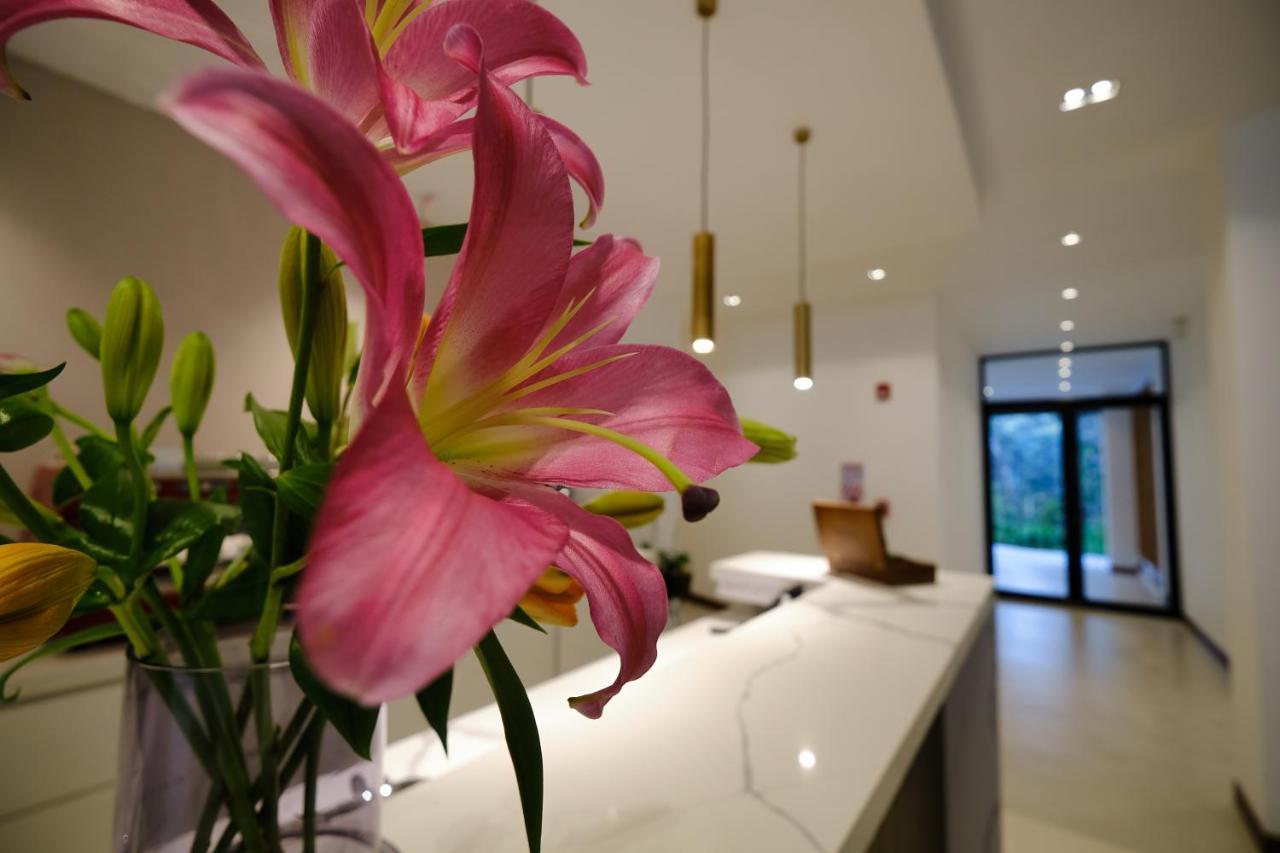 Ocotea Boutique Hotel Monteverde 外观 照片