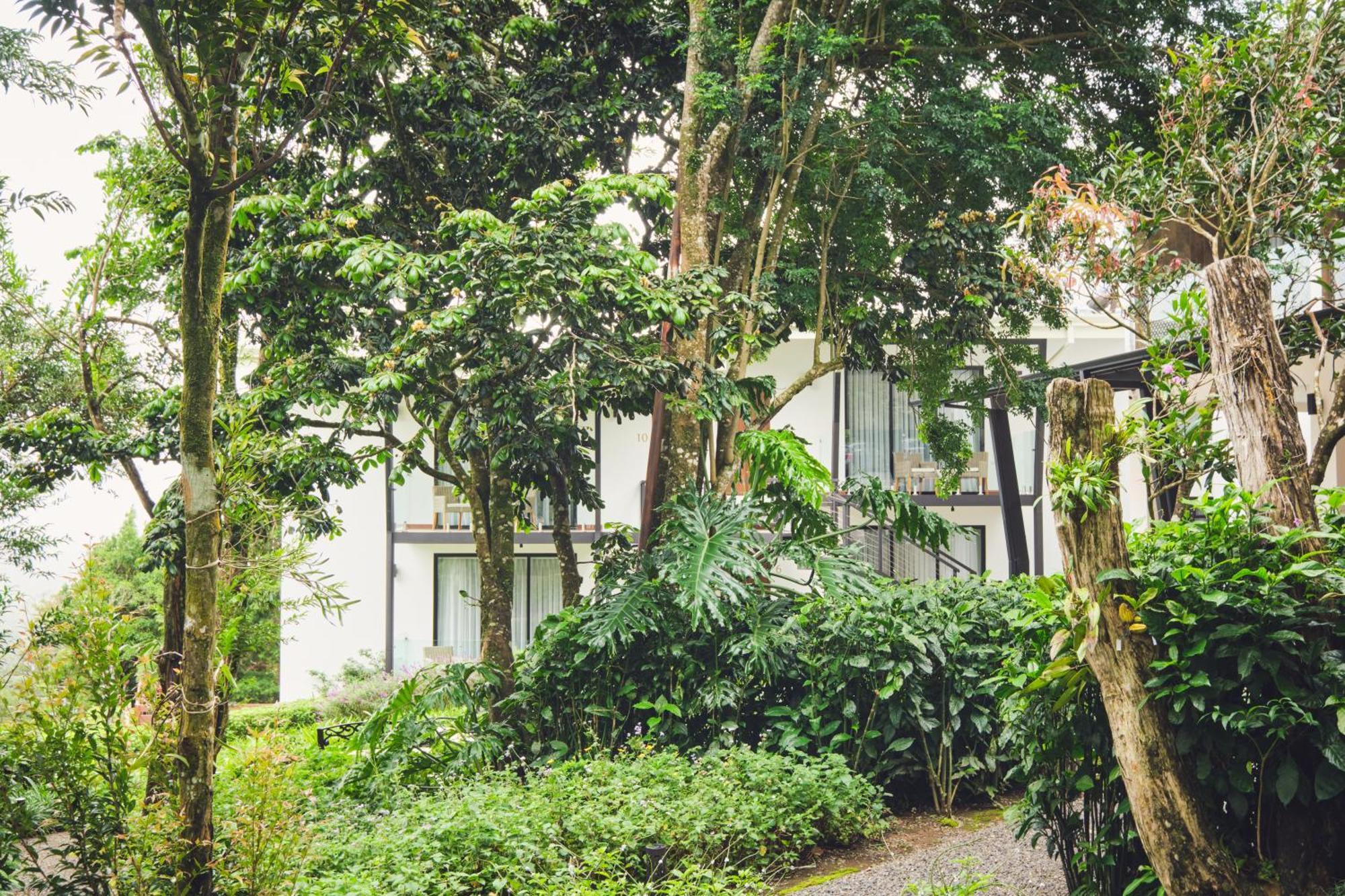 Ocotea Boutique Hotel Monteverde 外观 照片